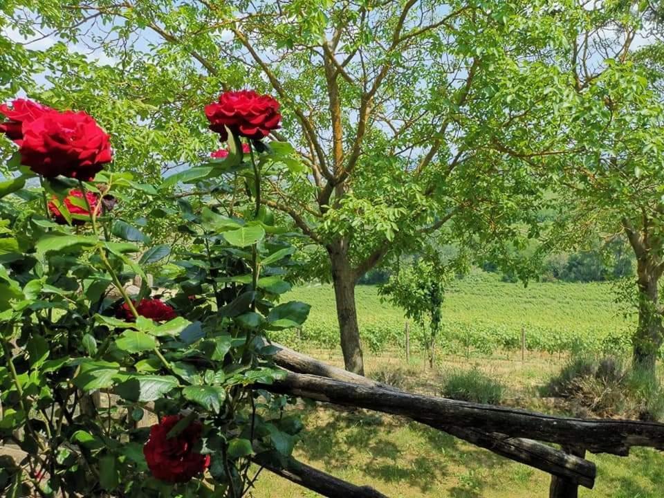 Cascina Valtignosa Camere Con Vigna Cassine Exterior foto