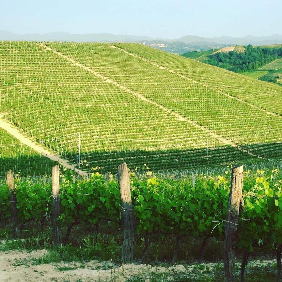Cascina Valtignosa Camere Con Vigna Cassine Exterior foto