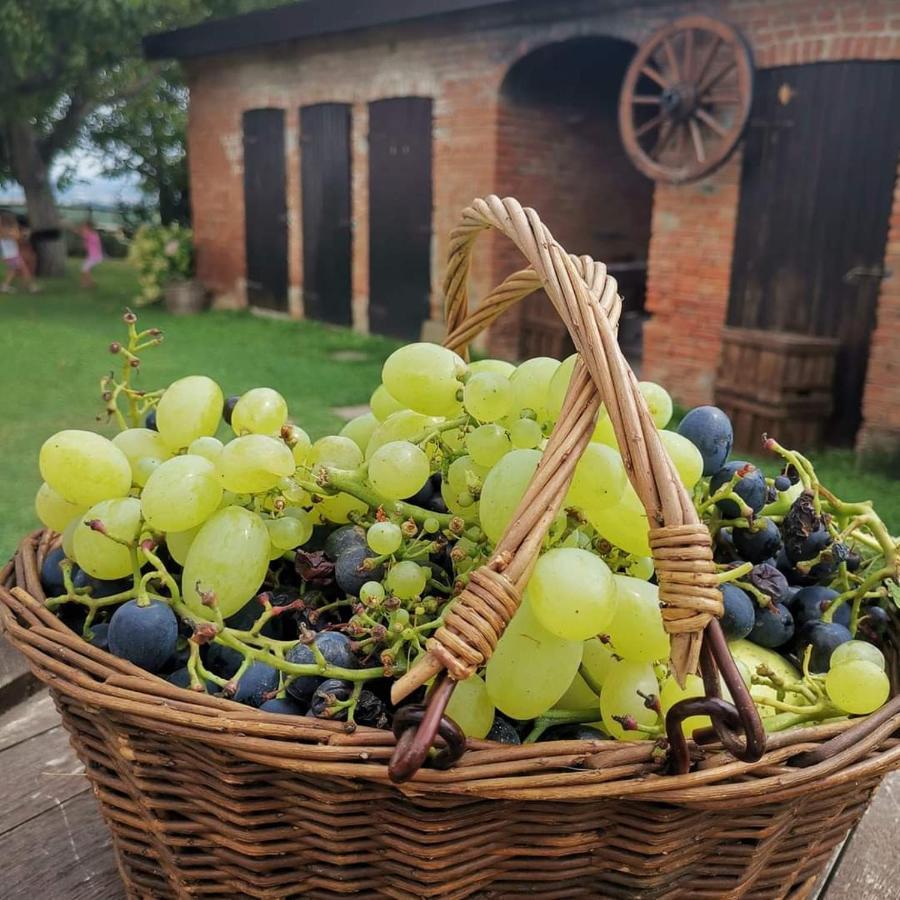 Cascina Valtignosa Camere Con Vigna Cassine Exterior foto