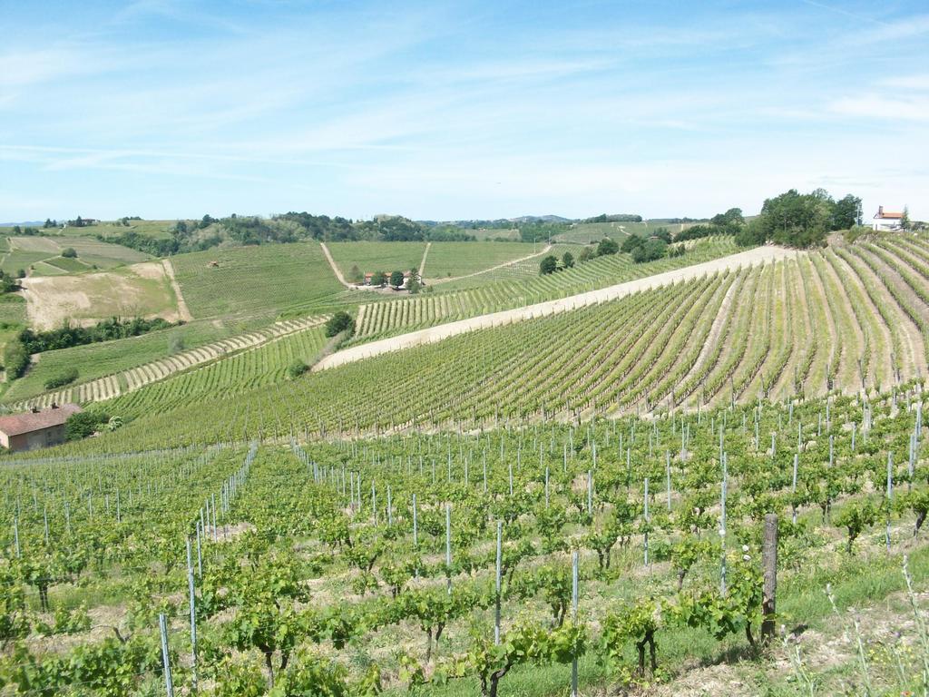 Cascina Valtignosa Camere Con Vigna Cassine Exterior foto