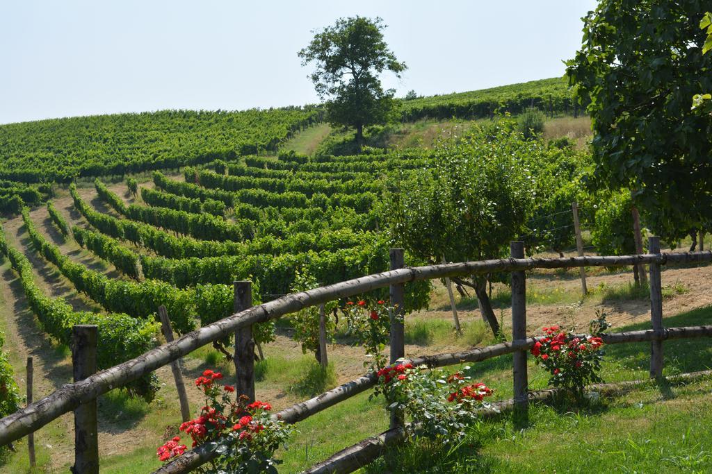 Cascina Valtignosa Camere Con Vigna Cassine Exterior foto