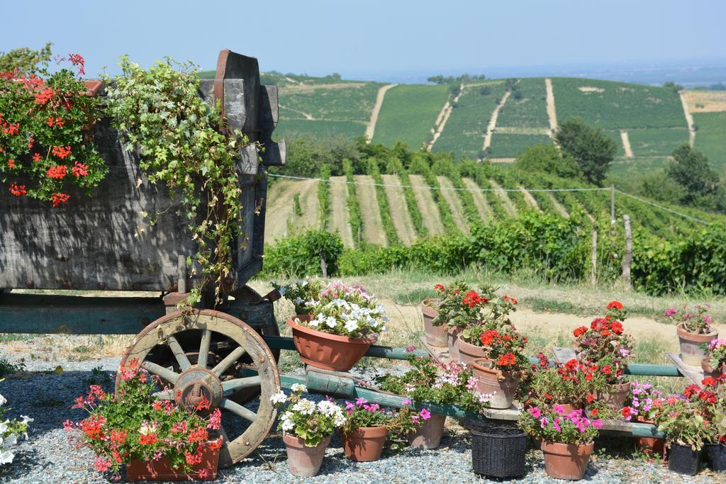 Cascina Valtignosa Camere Con Vigna Cassine Exterior foto