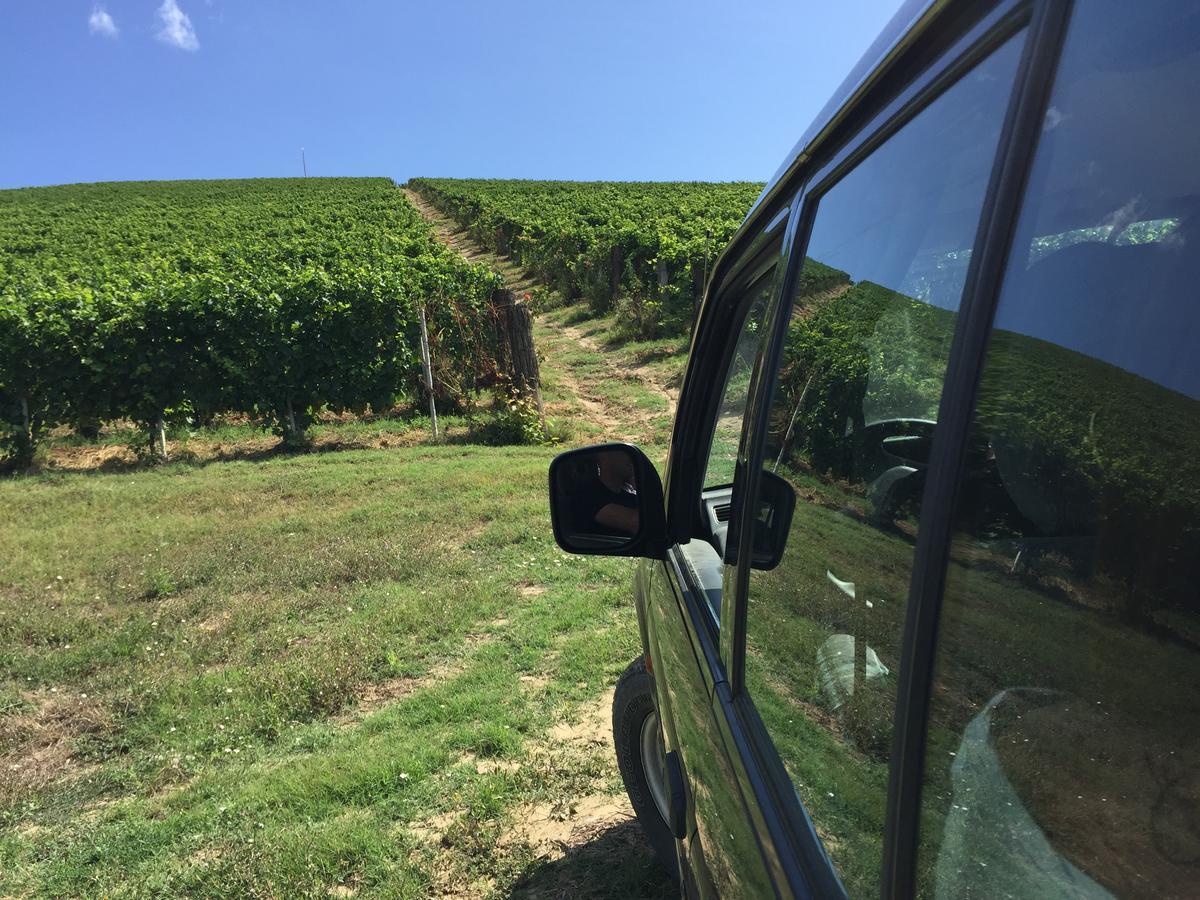 Cascina Valtignosa Camere Con Vigna Cassine Exterior foto